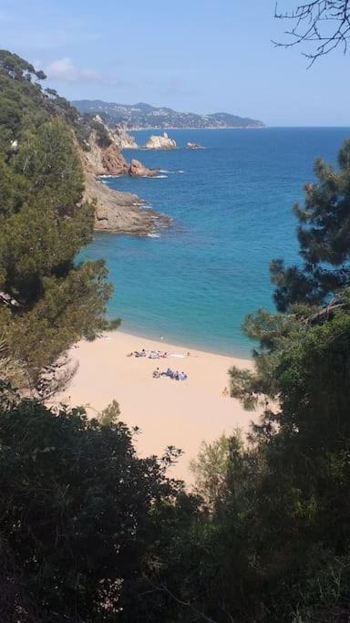 Alegre Apto Con Piscina, A 300M De La Playa. Бланес Екстер'єр фото